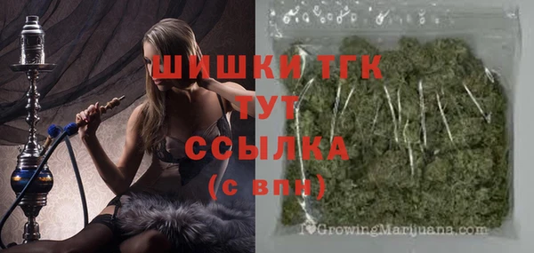 тгк Алексин