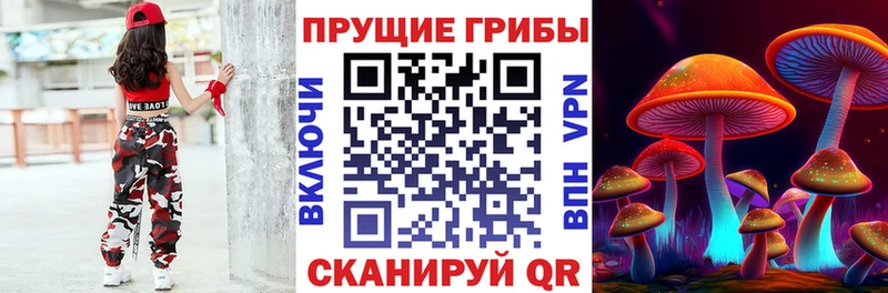 Псилоцибиновые грибы мухоморы Новоаннинский